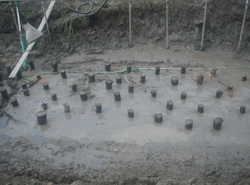 ����1��Сľ׮���������ֳ�